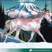 Horse Color:Watercolor Chocolate Palomino Onyx Splash