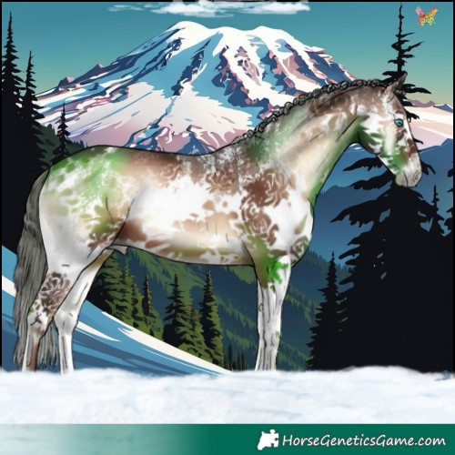 Horse Color:Liver Red Onyx Sabino Splash 