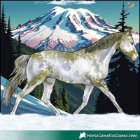 Horse Color:Watercolor Liver Red Onyx Sabino Splash