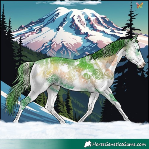 Horse Color:Watercolor Blue Onyx Sabino Splash 