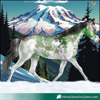 Horse Color:Smoky Blue Onyx Sabino Splash 
