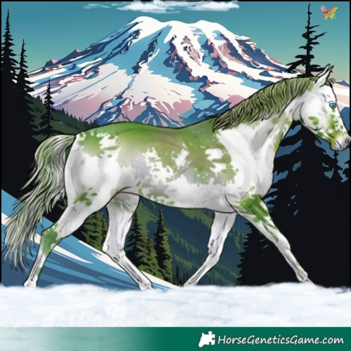 Horse Color:Watercolor Liver Red Onyx Splash