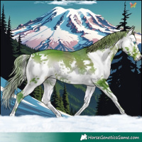 Horse Color:Watercolor Liver Red Onyx Splash