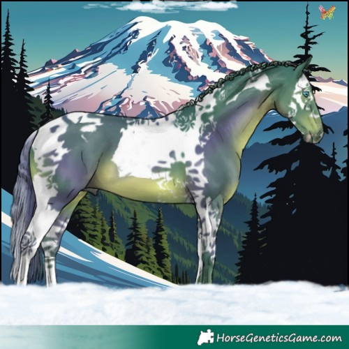 Horse Color:Watercolor Black Splash Tobiano 