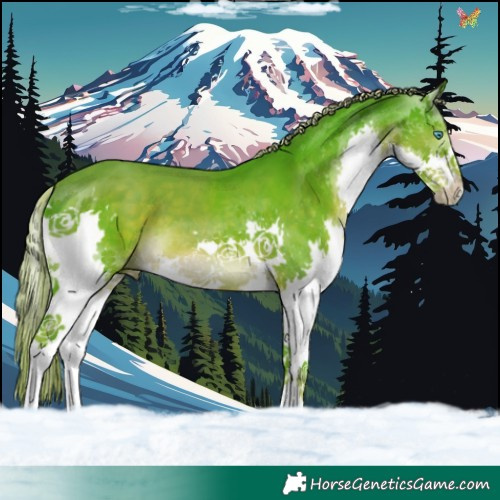 Horse Color:Watercolor Liver Chestnut Splash 