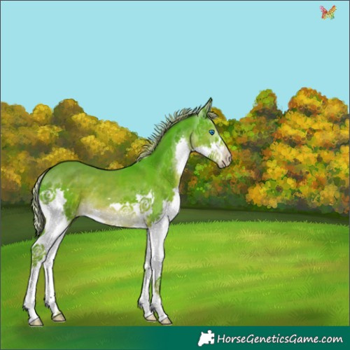 Horse Color:Watercolor Liver Chestnut Splash