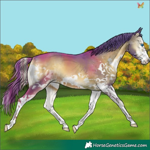 Horse Color:Watercolor Liver Red Onyx Splash 
