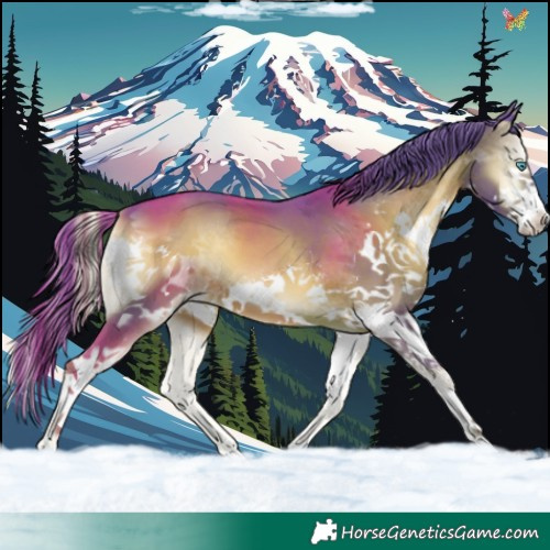 Horse Color:Watercolor Liver Red Onyx Splash