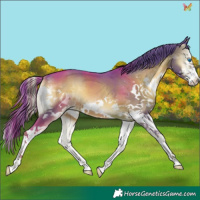 Horse Color:Watercolor Liver Red Onyx Splash
