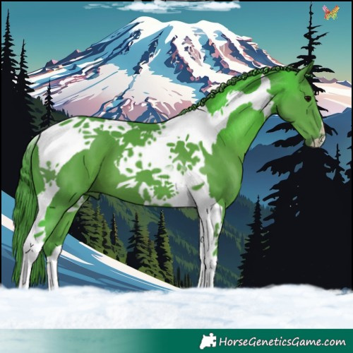 Horse Color:Watercolor Black Tobiano 