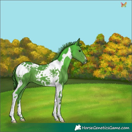 Horse Color:Watercolor Black Tobiano 