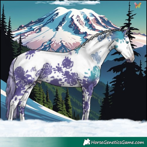 Horse Color:Watercolor Black Splash Tobiano 