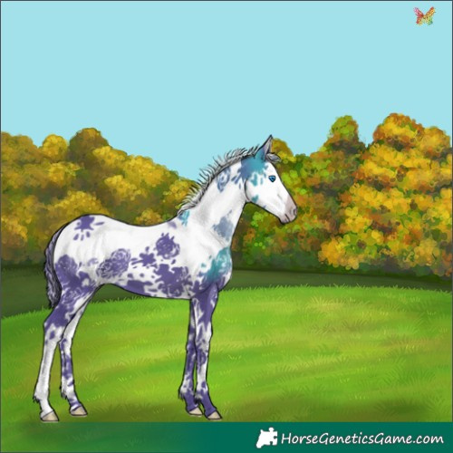 Horse Color:Watercolor Black Splash Tobiano 