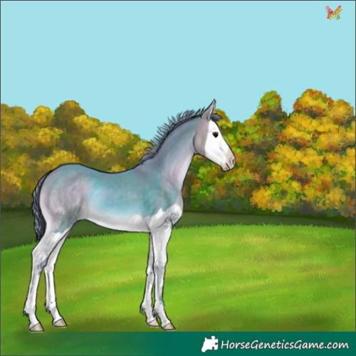 Horse Color:Watercolor Brown Onyx Splash 