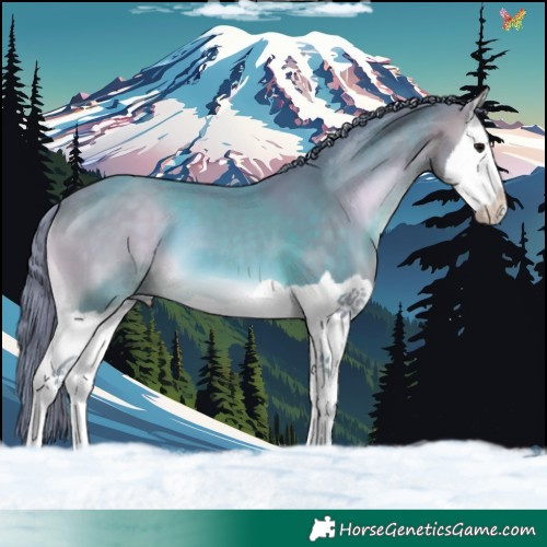 Horse Color:Watercolor Brown Onyx Splash 