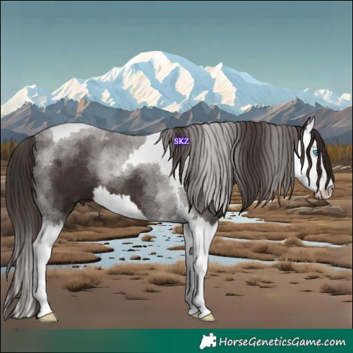 Horse Color:Liver Chestnut Splash Tobiano 