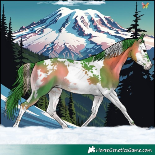 Horse Color:Watercolor Blue Onyx Splash Tobiano 