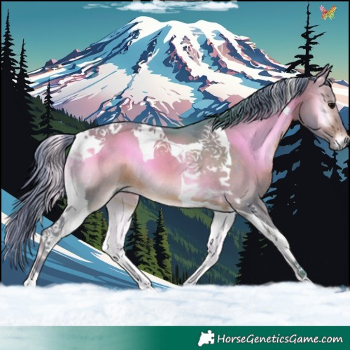 Horse Color:Watercolor Brown Onyx Tobiano