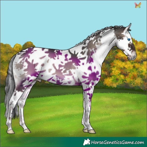 Horse Color:Blue Onyx Splash Tobiano
