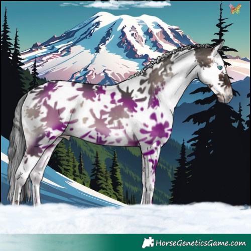 Horse Color:Blue Onyx Splash Tobiano 