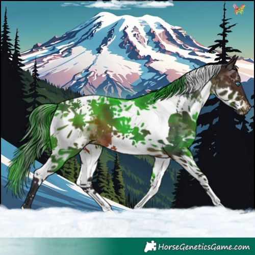 Horse Color:Brown Splash Tobiano 