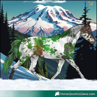 Horse Color:Brown Splash Tobiano