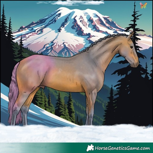 Horse Color:Watercolor Bay 