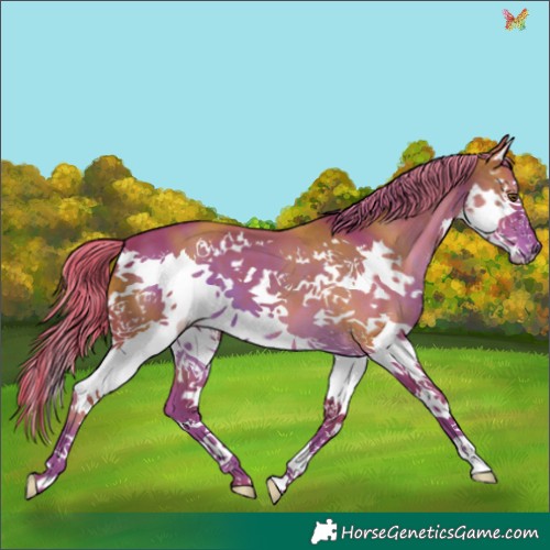 Horse Color:Watercolor Liver Chestnut Splash