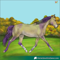 Horse Color:Watercolor Buckskin 