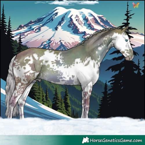 Horse Color:Watercolor Palomino Splash 