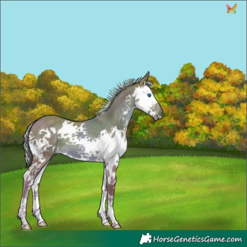 Horse Color:Watercolor Palomino Splash 