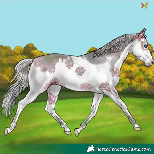 Horse Color:Watercolor Silver Buckskin Splash