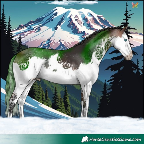 Horse Color:Brown Splash 