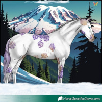 Horse Color:Watercolor Buckskin Splash Tobiano 