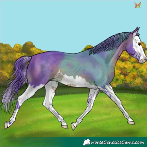 Horse Color:Watercolor Brown Splash