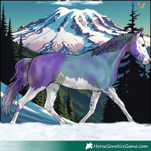 Horse Color:Watercolor Brown Splash 