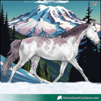 Horse Color:Watercolor Buckskin Pearl Splash 