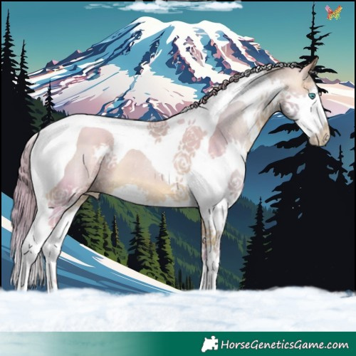 Horse Color:Watercolor Buckskin Pearl Splash Tobiano 