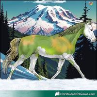 Horse Color:Watercolor Chestnut Splash 