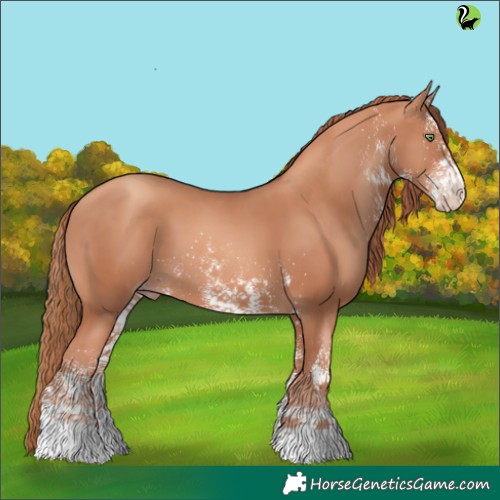Horse Color:White Spotted Gold Champagne