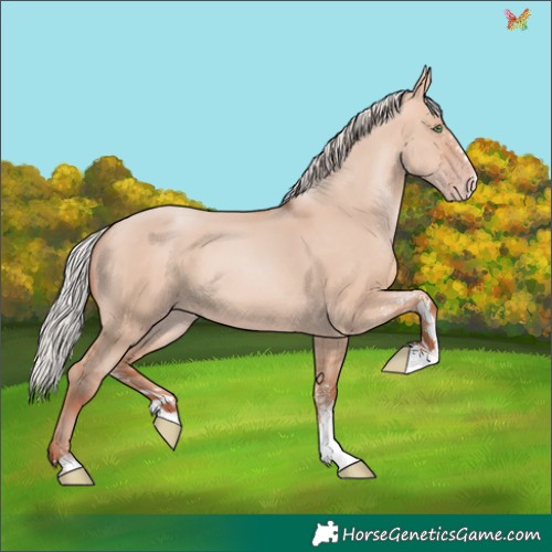 Horse Color:White Spotted Silver Amber Champagne Dun 