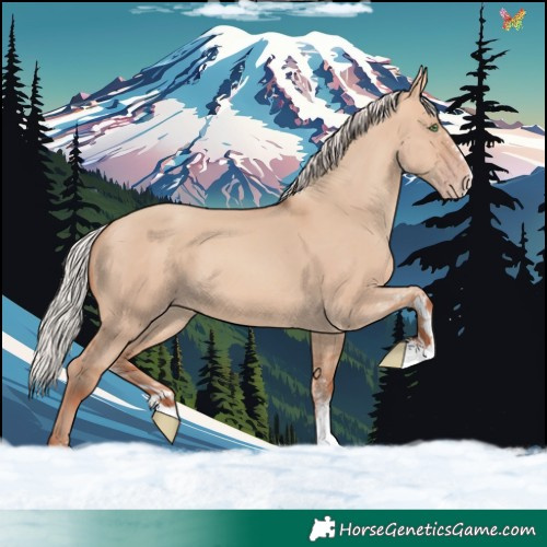 Horse Color:White Spotted Silver Amber Champagne Dun 