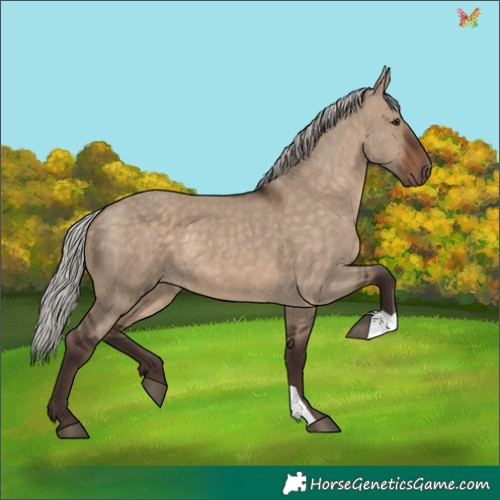Horse Color:Silver Brown Dun 