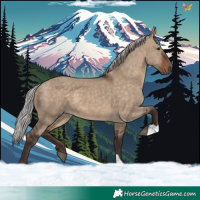 Horse Color:Silver Brown Dun
