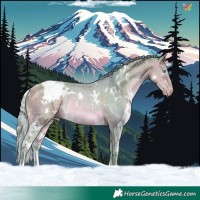 Horse Color:Watercolor White Spotted Silver Amber Cream Champagne Rabicano 