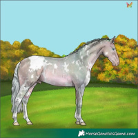 Horse Color:Watercolor White Spotted Silver Amber Cream Champagne Rabicano 