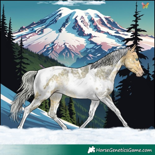 Horse Color:Watercolor White Spotted Silver Sable Cream Champagne Ice Tobiano Rabicano