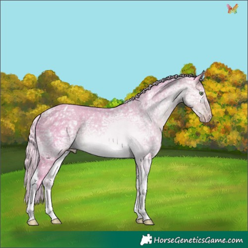 Horse Color:Watercolor Silver Sable Cream Champagne Ice Tobiano 