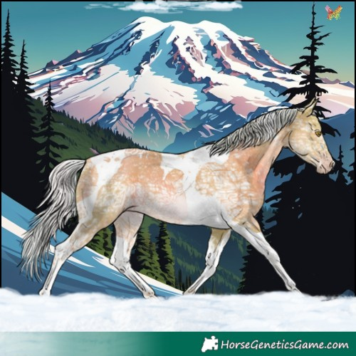 Horse Color:Watercolor Silver Sable Champagne Ice Tobiano 