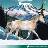Horse Color:Watercolor Silver Sable Champagne Ice Tobiano